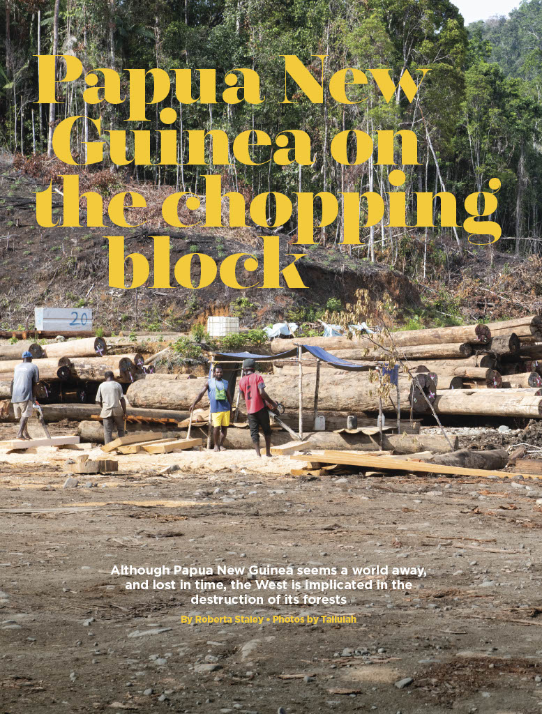 Papua New Guinea on the Chopping Block by Roberta Staley