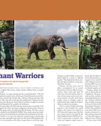 Elephant Warriors