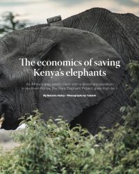 The cost of Saving an Elephant